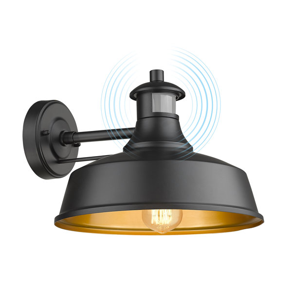 Beachcrest Home Maxwellton Motion Sensor Farmhouse Barn Light Outdoor